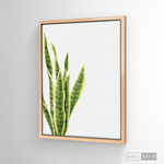 Cargar imagen en el visor de la galería, Cuadro Botánico SANSEVIERA