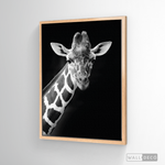 Cargar imagen en el visor de la galería, Cuadro Animales Jirafa B/N