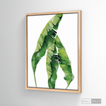 Cargar imagen en el visor de la galería, Cuadro Botánico Musa Paradisiaca
