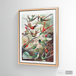 Cargar imagen en el visor de la galería, Cuadro Aves Colibríes