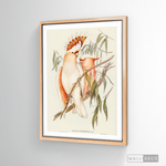 Cargar imagen en el visor de la galería, Cuadro Aves Cacatua Australiana