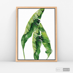 Cargar imagen en el visor de la galería, Cuadro Botánico Musa Paradisiaca