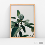 Cargar imagen en el visor de la galería, Cuadro Botánico CHEFLERA