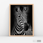 Cargar imagen en el visor de la galería, Cuadro Animales Cebra B/N