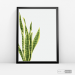 Cargar imagen en el visor de la galería, Cuadro Botánico SANSEVIERA - WalldecóStore