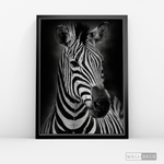 Cargar imagen en el visor de la galería, Cuadro Animales Cebra B/N