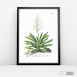 Cargar imagen en el visor de la galería, Cuadro Botánico Yucca