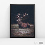 Cargar imagen en el visor de la galería, Cuadro Animales Ciervo Rojo (A)