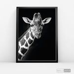 Cargar imagen en el visor de la galería, Cuadro Animales Jirafa B/N