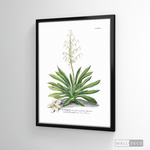 Cargar imagen en el visor de la galería, Cuadro Botánico Yucca