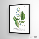 Cargar imagen en el visor de la galería, Cuadro Botánico Pulvonaria