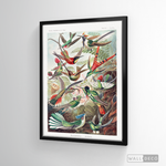 Cargar imagen en el visor de la galería, Cuadro Aves Colibríes