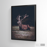 Cargar imagen en el visor de la galería, Cuadro Animales Ciervo Rojo (A)