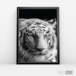 Cargar imagen en el visor de la galería, Cuadro Animales Tigre Blanco B/N