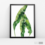 Cargar imagen en el visor de la galería, Cuadro Botánico Musa Paradisiaca