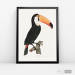 Cargar imagen en el visor de la galería, Cuadro Aves Tucan Colombiano 3