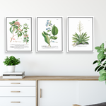 Cargar imagen en el visor de la galería, Tríptico Botánico Botany (set x 3)