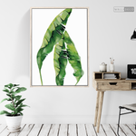 Cargar imagen en el visor de la galería, Cuadro Botánico Musa Paradisiaca