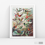 Cargar imagen en el visor de la galería, Cuadro Aves Colibríes