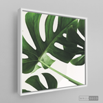 Cargar imagen en el visor de la galería, Cuadro Botánico BALAZO REAL