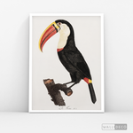 Cargar imagen en el visor de la galería, Cuadro Aves Tucan Colombiano 2