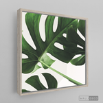 Cargar imagen en el visor de la galería, Cuadro Botánico BALAZO REAL