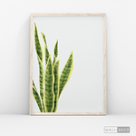 Cargar imagen en el visor de la galería, Cuadro Botánico SANSEVIERA - WalldecóStore
