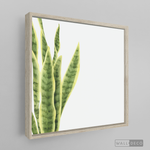 Cargar imagen en el visor de la galería, Cuadro Botánico SANSEVIERA