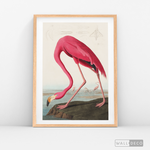 Cargar imagen en el visor de la galería, Cuadro Aves Flamenco Mayor