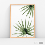 Cargar imagen en el visor de la galería, Cuadro Botánico PALMERA