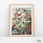 Cargar imagen en el visor de la galería, Cuadro Aves Colibríes