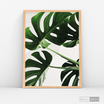 Cargar imagen en el visor de la galería, Cuadro Botánico BALAZO REAL