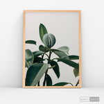 Cargar imagen en el visor de la galería, Cuadro Botánico CHEFLERA