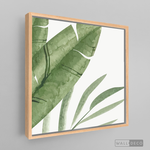 Cargar imagen en el visor de la galería, Cuadro Botánico PLATANERA