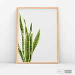 Cargar imagen en el visor de la galería, Cuadro Botánico SANSEVIERA