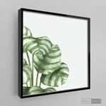 Cargar imagen en el visor de la galería, Cuadro Botánico GALATHEA