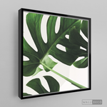 Cargar imagen en el visor de la galería, Cuadro Botánico BALAZO REAL