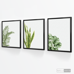 Cargar imagen en el visor de la galería, Tríptico Natural - WalldecóStore