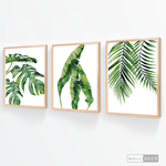 Cargar imagen en el visor de la galería, Tríptico Botánico Paraiso (set x 3)