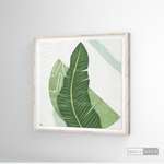 Cargar imagen en el visor de la galería, Cuadro Botánico Palma Viajera