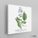 Cargar imagen en el visor de la galería, Tríptico Botánico Botany (set x 3)