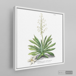 Cargar imagen en el visor de la galería, Tríptico Botánico Botany (set x 3)