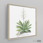 Cargar imagen en el visor de la galería, Tríptico Botánico Botany (set x 3)