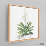 Cargar imagen en el visor de la galería, Tríptico Botánico Botany (set x 3)