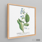 Cargar imagen en el visor de la galería, Tríptico Botánico Botany (set x 3)