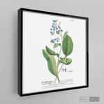 Cargar imagen en el visor de la galería, Tríptico Botánico Botany (set x 3)