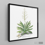 Cargar imagen en el visor de la galería, Tríptico Botánico Botany (set x 3)