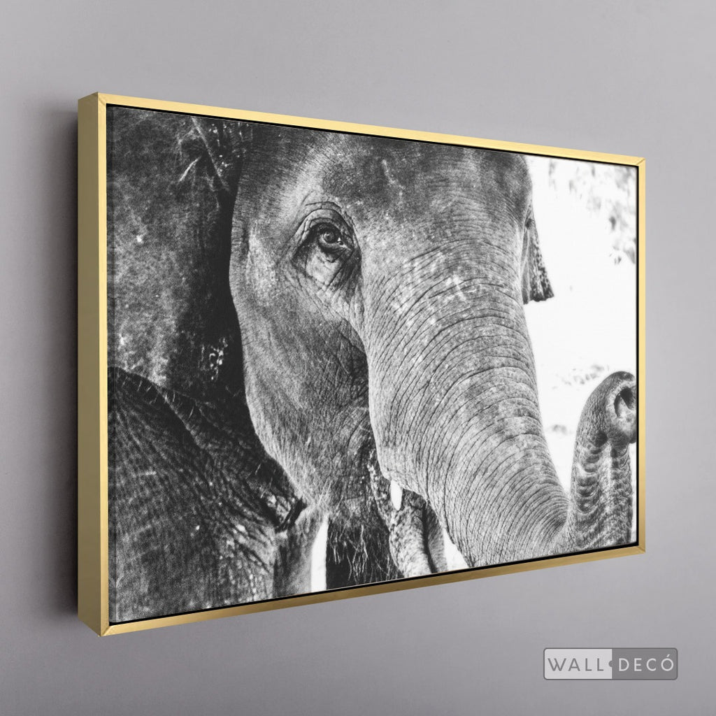Cuadro Animales Elefante Boho Horizontal - marco dorado
