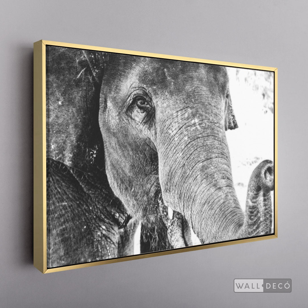 Cuadro Animales Elefante Boho Horizontal - marco dorado