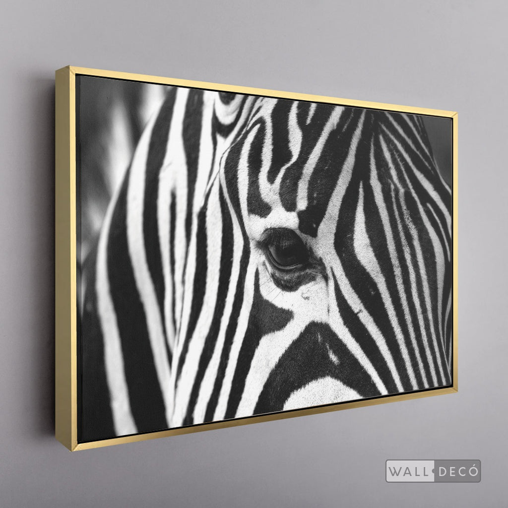 Cuadro Animales Cebra Boho Horizontal - marco dorado